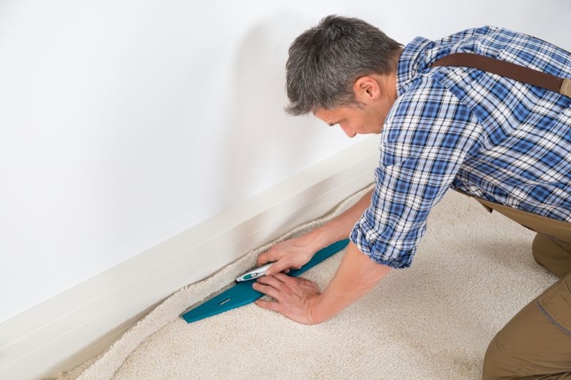 Carpet Service detail