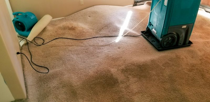 Emergency Carpet Cleaning Services