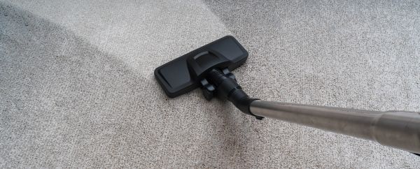 Condo Carpet Cleaning in Hamburg