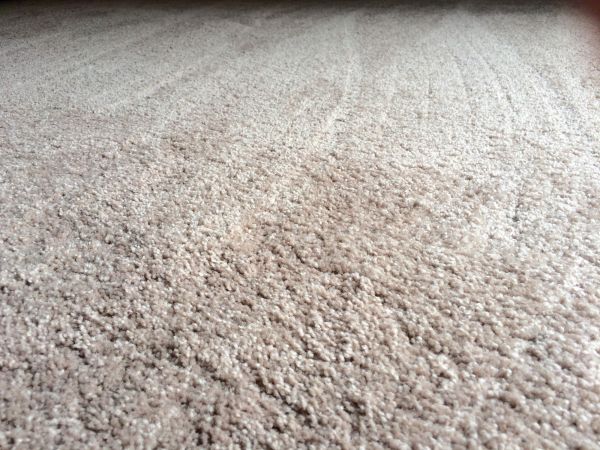 Plush Carpet Installation in Hamburg